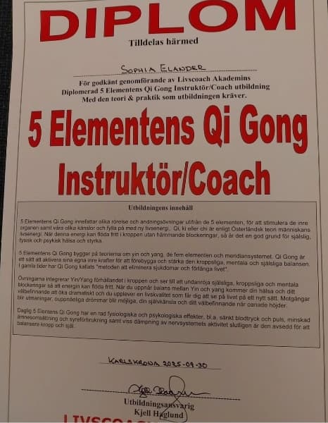 Färdig instruktör de fem elementen qi gong